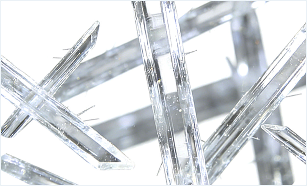 Ergothioneine & Spermidine: 
Targeted Protection & Renewal *