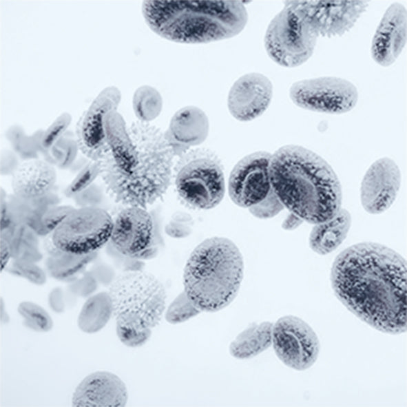 HPA-Axis Adaptogenic Homeostasis