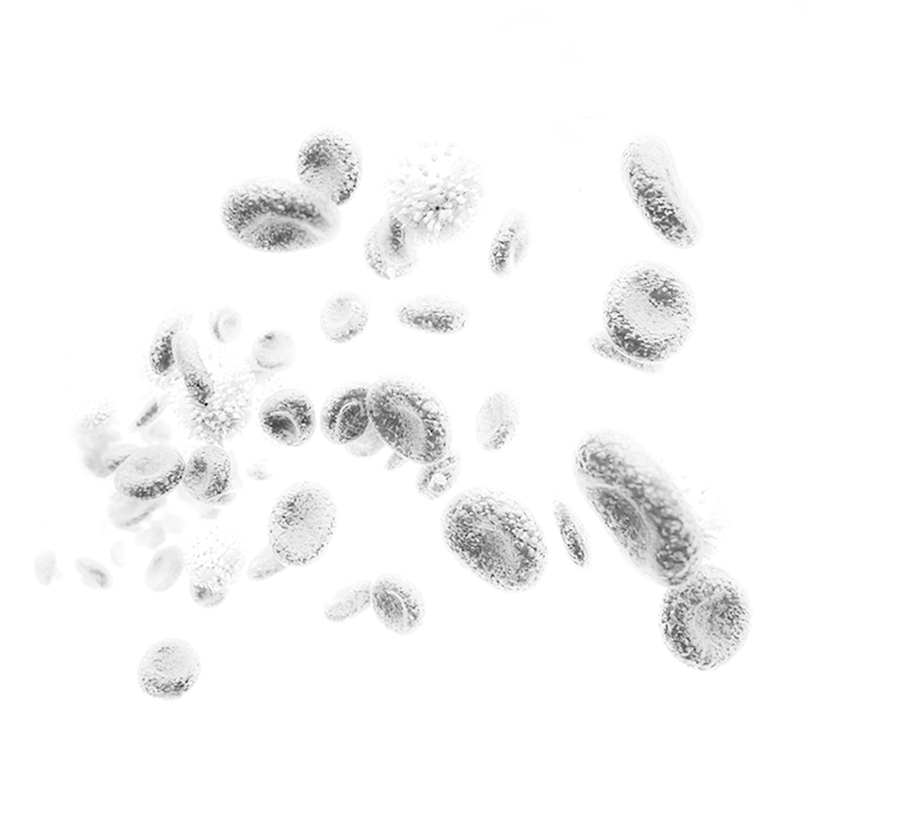 Mitochondria